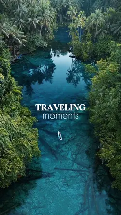65 pic traveling