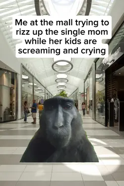 me at the mall