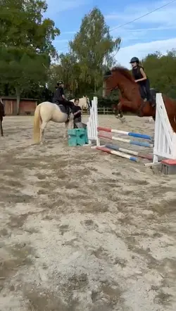 slowmo 