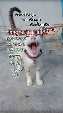 อกหักกี่ครั้ง1234567
