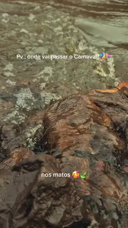 meu carnaval