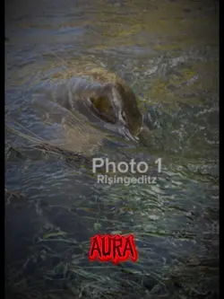 Aura (edit)