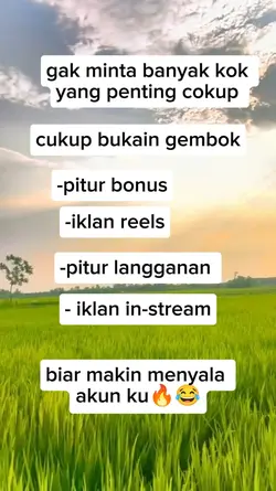 FB PRO 