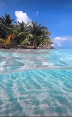 L'océan 