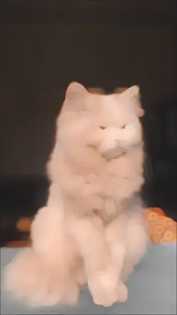 Slow-motion Template