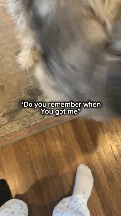 My puppy 
