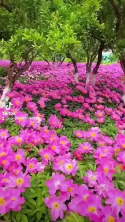 @เอ๋ค่ะ เอ๋ค่ะ