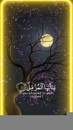 New Quran Template 