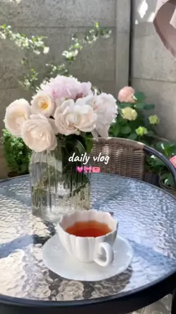 daily vlog 