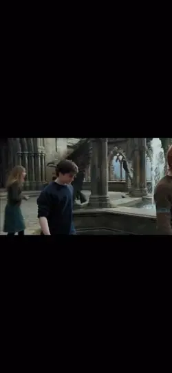 Harry Potte