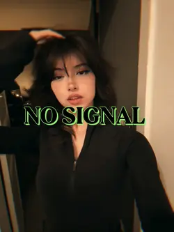 No Signal 