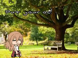 Put your oc!