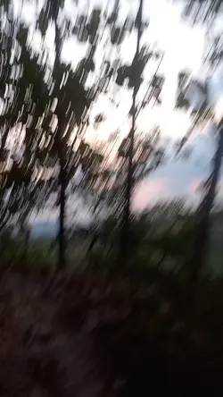 liburan