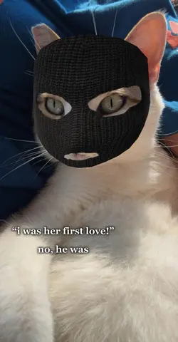 my kitty