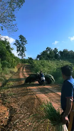 Suasana Desa