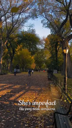 autumn slow motion