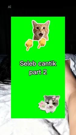 greenscreen
