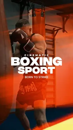 Boxing Sport 