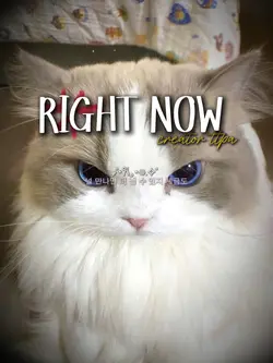 right now 