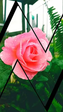 Cinematic  effect 