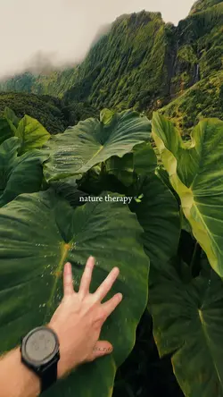 nature therapy 🍃