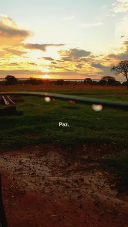 natureza
