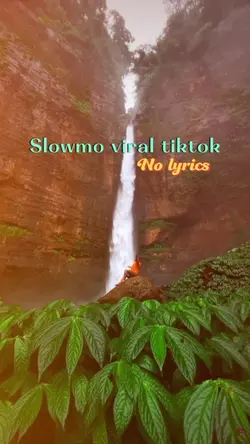 Viral tiktok