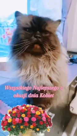 Dzień Kobiet 