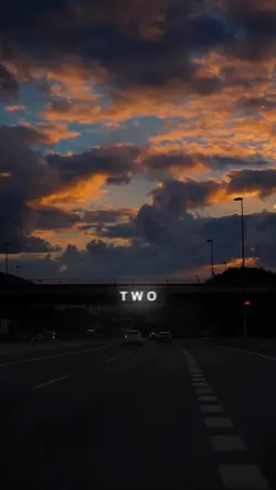 two birds