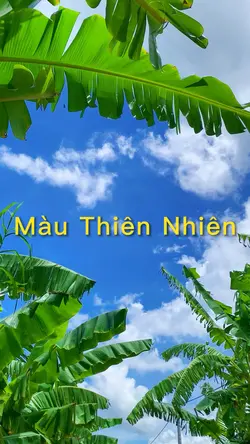 1ViD Màu Tự Nhiên
