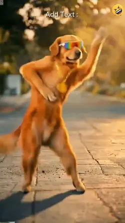 Funny Dog,