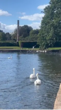 Poole park 