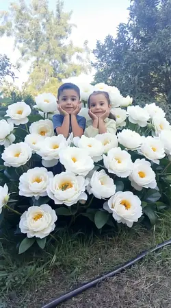 AI Flowers