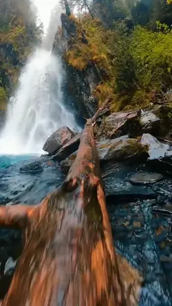 Adventures 