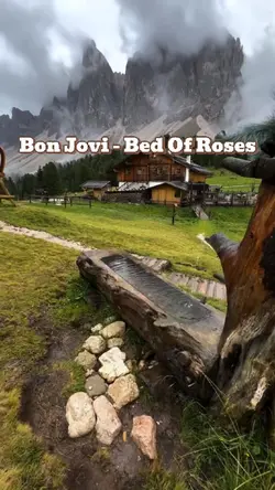Bed Of Roses 