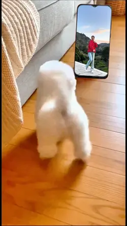 Sample funny