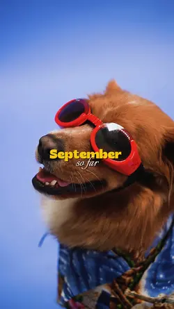 September So Far