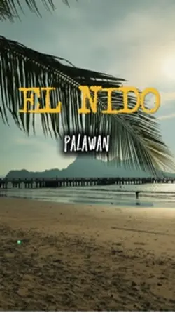 Island Drip: El NIDO