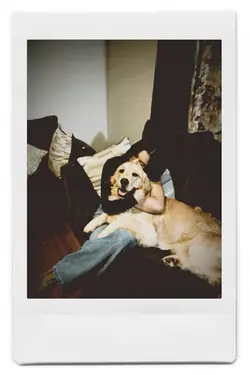 polaroid