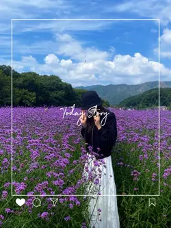 5PIC STORY TODAY
