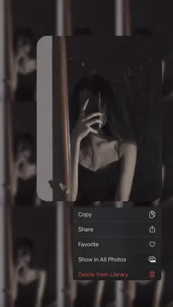 mirror pic
