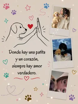 amor perruno 
