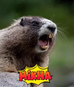 MIKHA