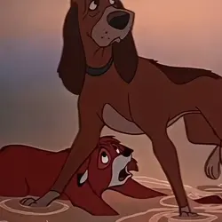 fox and the hound