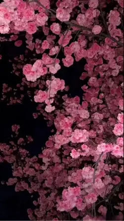 狐涂涂 wallpaper