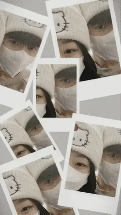 grid photo winter