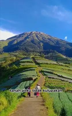Tanah airku l
