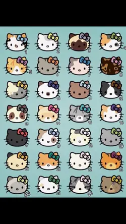 Catssss 💕