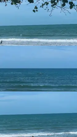 3 VIDEO HD