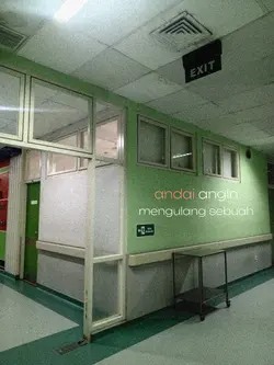 bunga maaf 